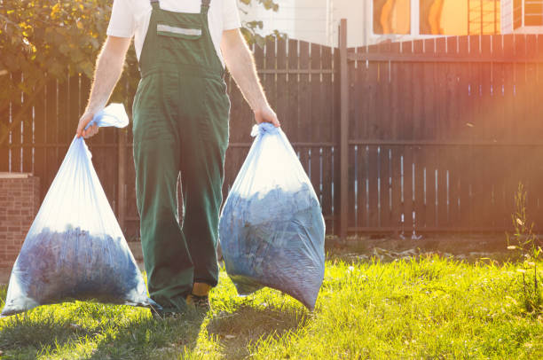 Best Construction Debris Removal  in Mount Vernon, MD