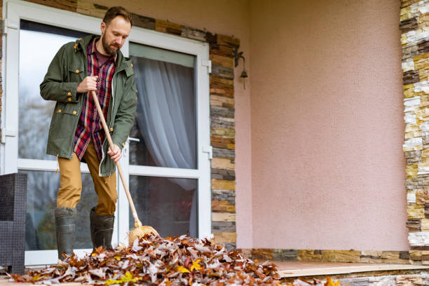 Best Basement Cleanout Services  in Mount Vernon, MD
