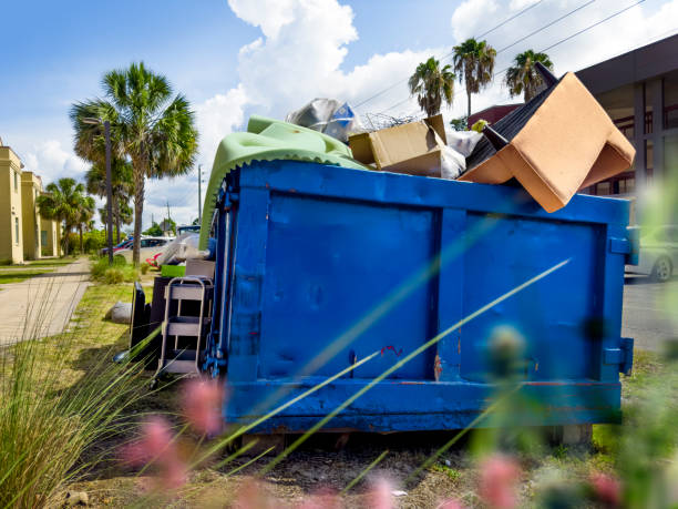 Best Basement Cleanout Services  in Mount Vernon, MD